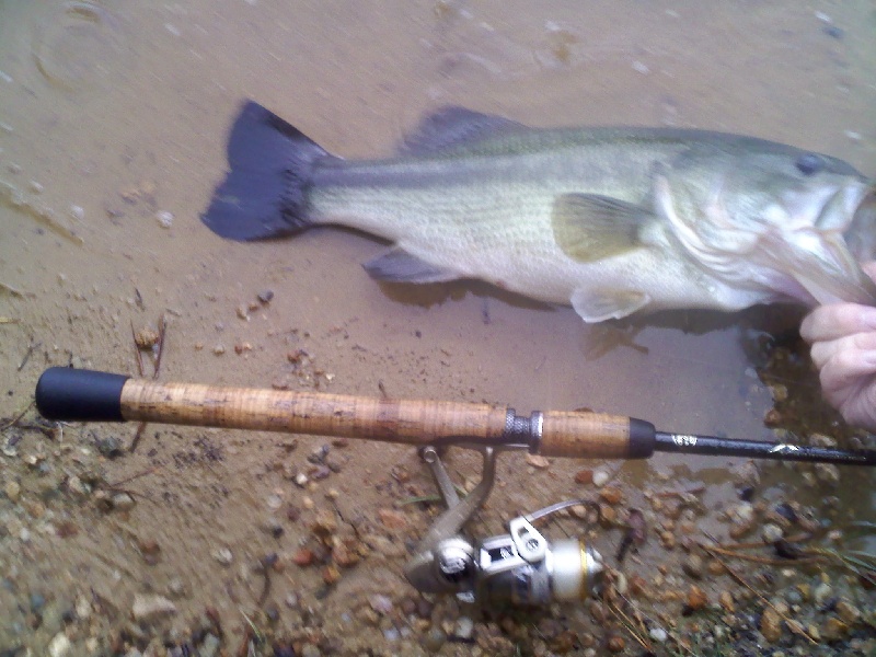 Hathaway Pond - Left of beach