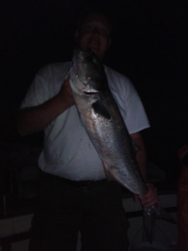 Big Bluefish