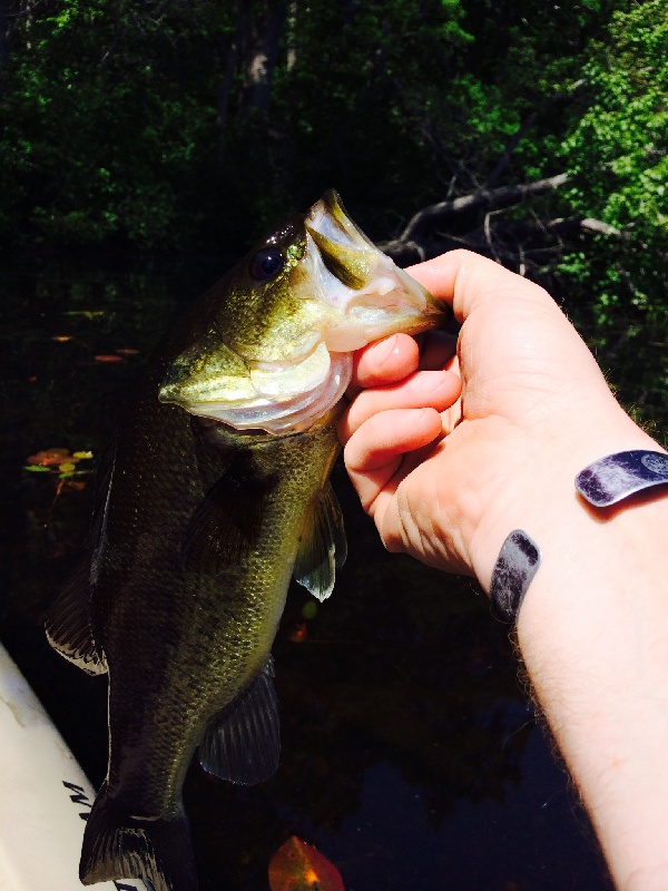 ponky yak fishing